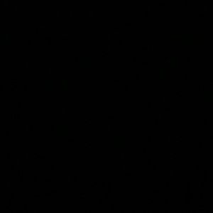 Meet your Posher, Raleigh